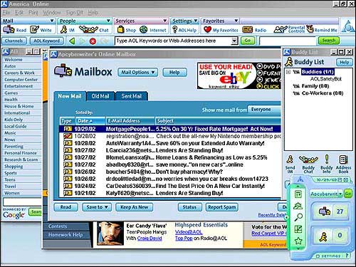 AOL emphasizes ease, MSN functionality | News, Sports, Jobs 